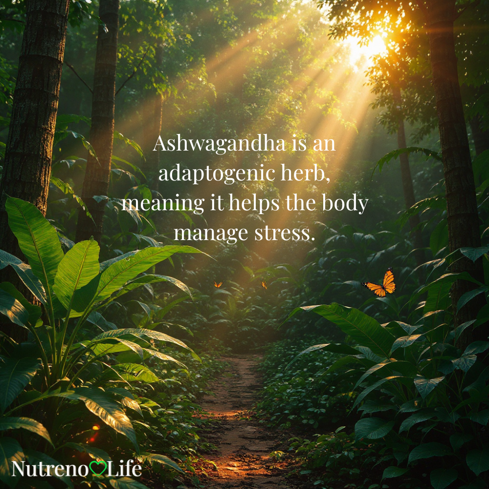 Sunlight filtering through trees in a forest with a quote about Ashwagandha being an adaptogen and Nutreno Life branding logo