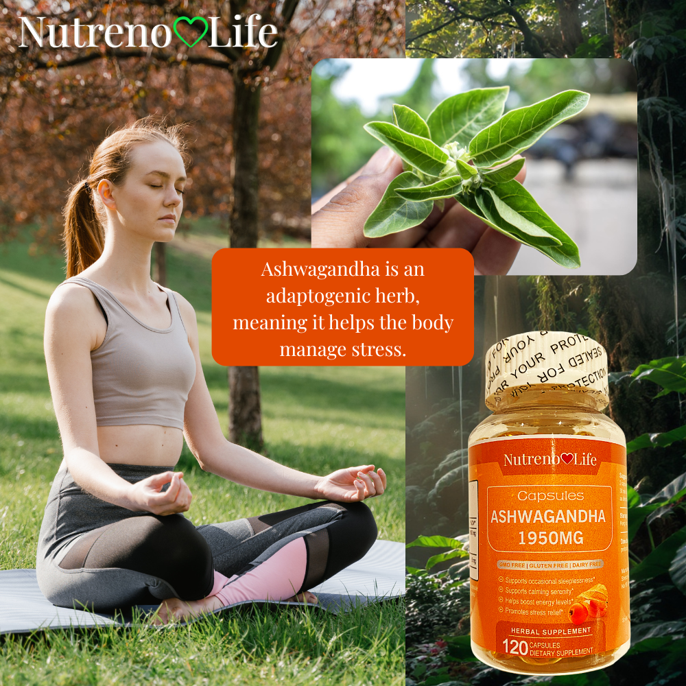 Collage of a woman meditating, ashwagandha plant, and Nutreno Life Ashwagandha supplement bottle.