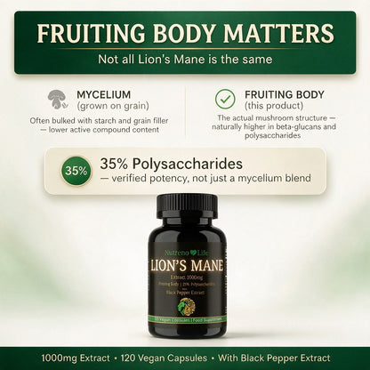 Lion's Mane Mushroom 1000mg – Fruiting Body Extract, Vegan, 120 Capsules